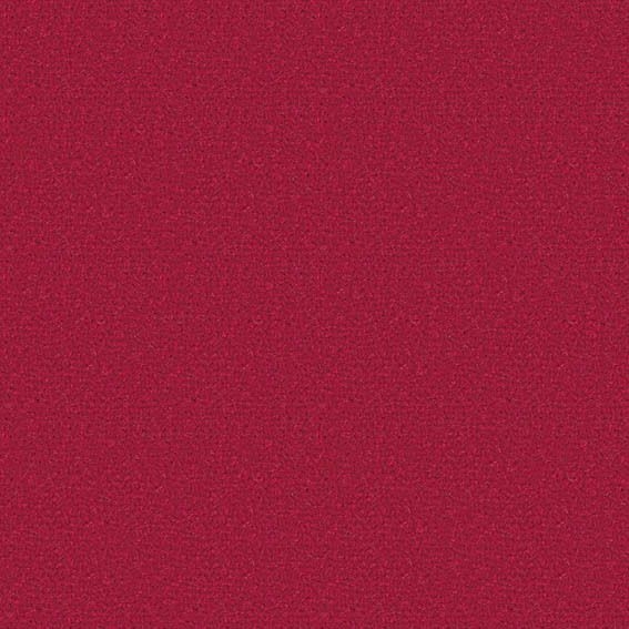 ニュークライスト - CR8019 ニュークライスト