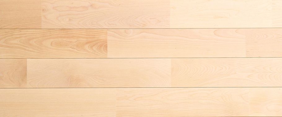 カバ デラックス
