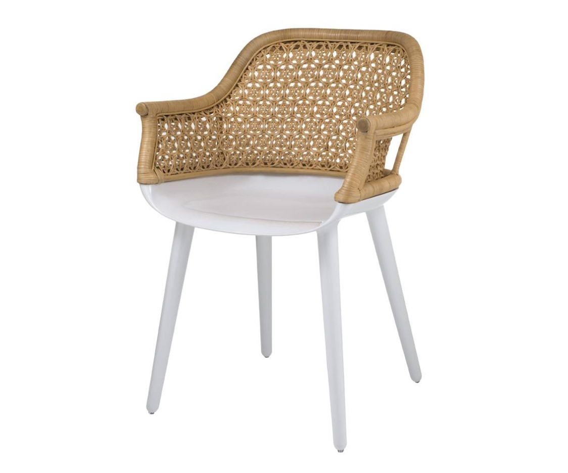 サイボーグ ウィッカー エレガント