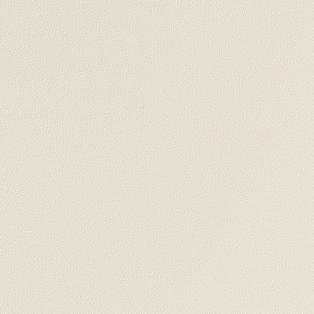 粘着剤付化粧フィルム_カラー/単色