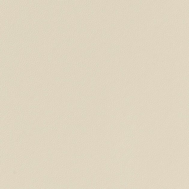 粘着剤付化粧フィルム_カラー/単色