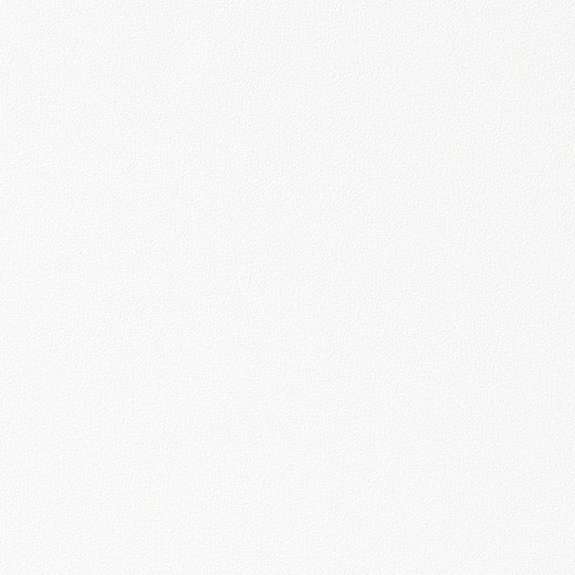 粘着剤付化粧フィルム_カラー/単色