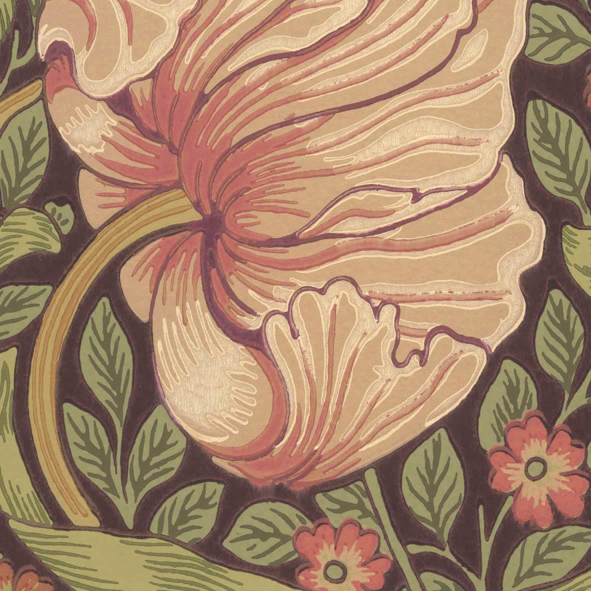 Pimpernel