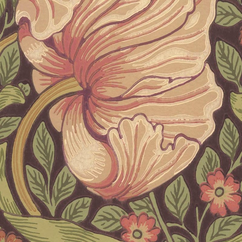 Pimpernel/ピンパーネル