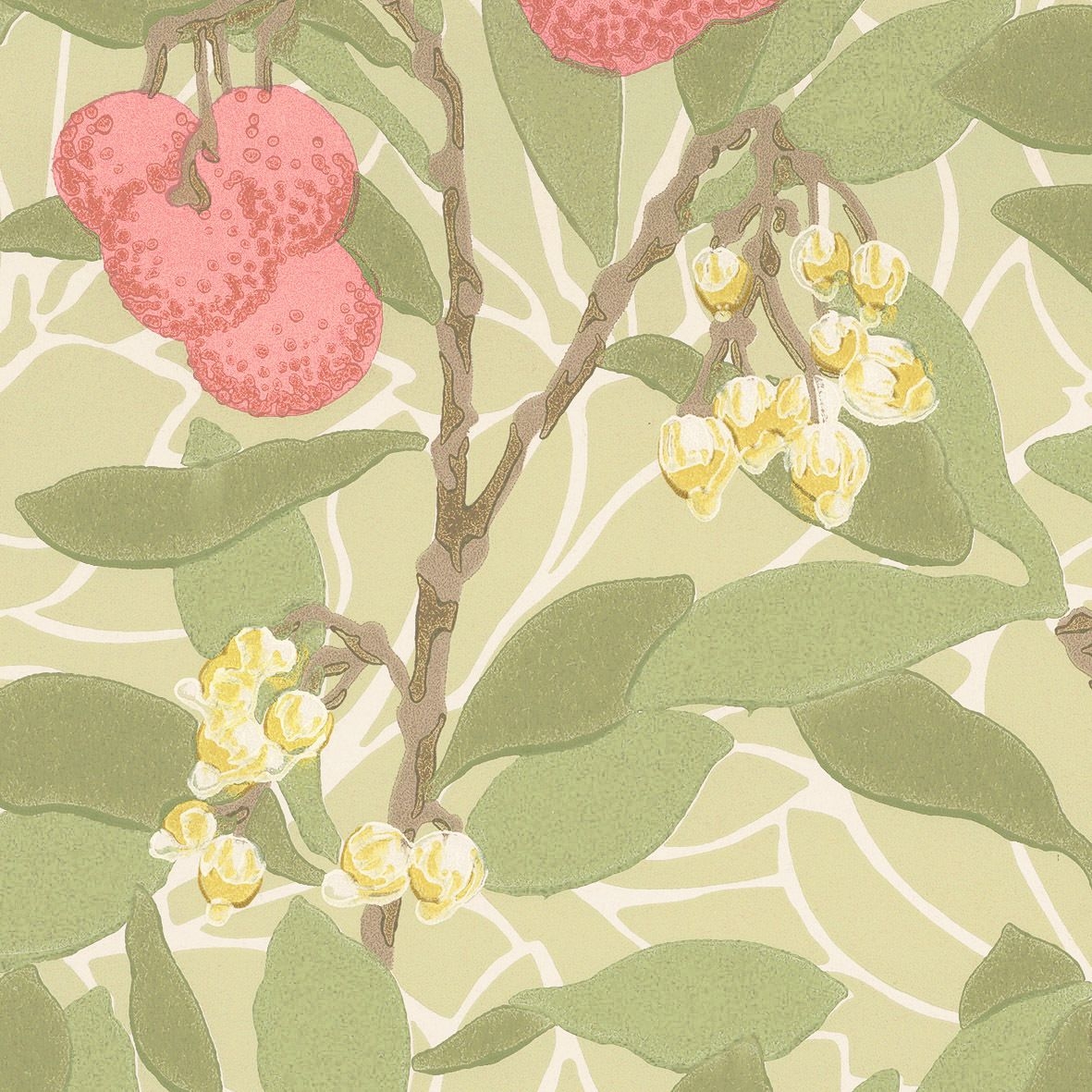 Arbutus