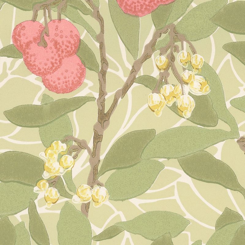 Arbutus/アービュタス