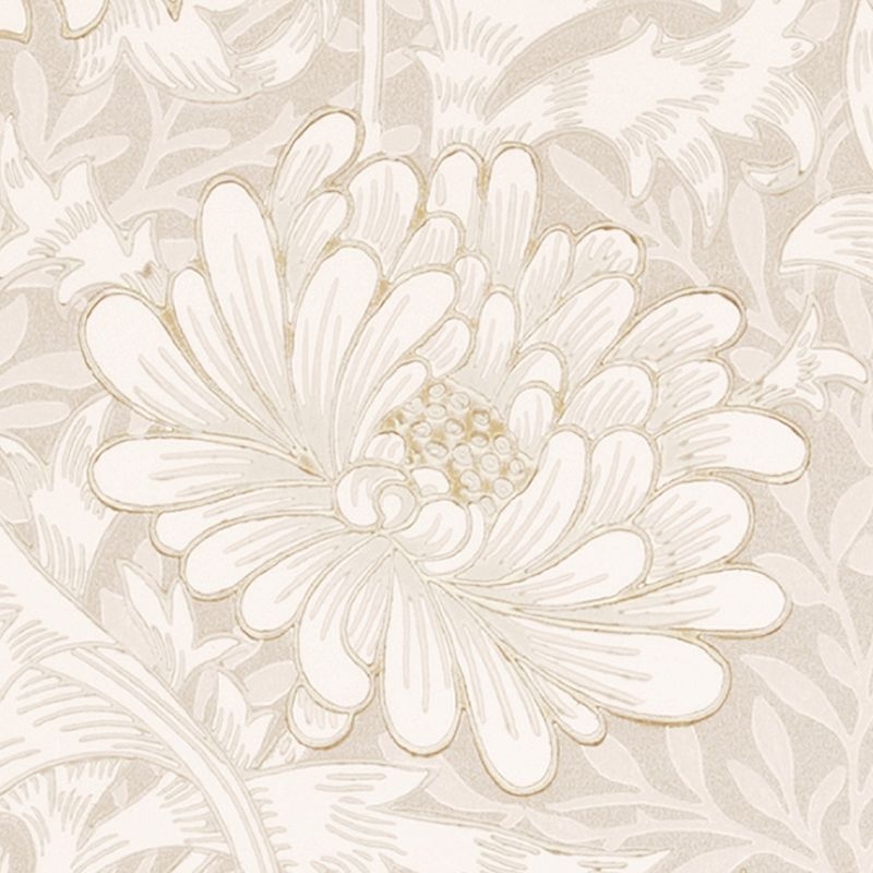 Chrysanthemum/クリサンセマム