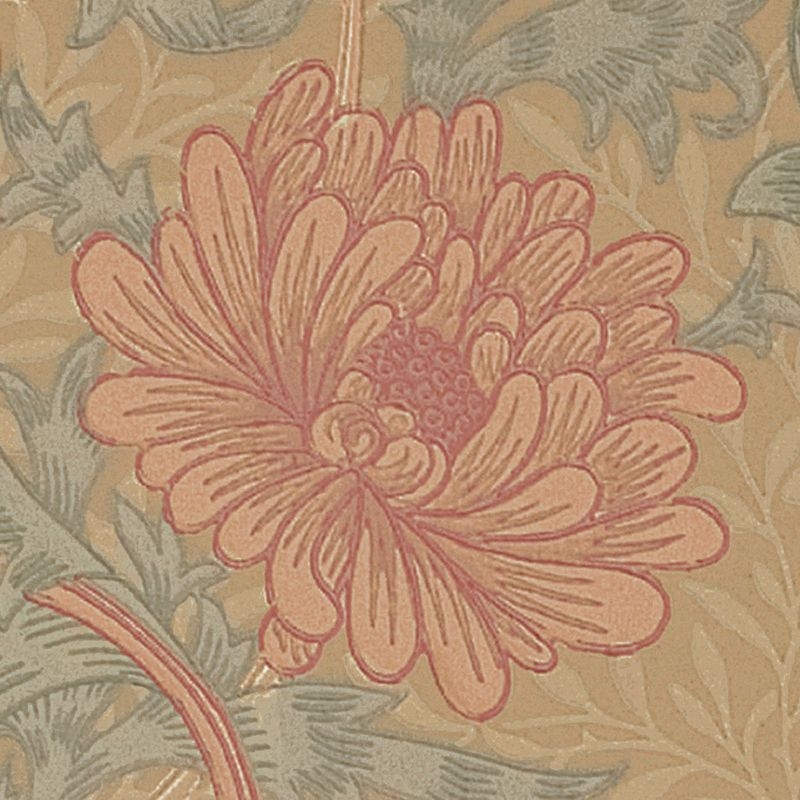 Chrysanthemum/クリサンセマム