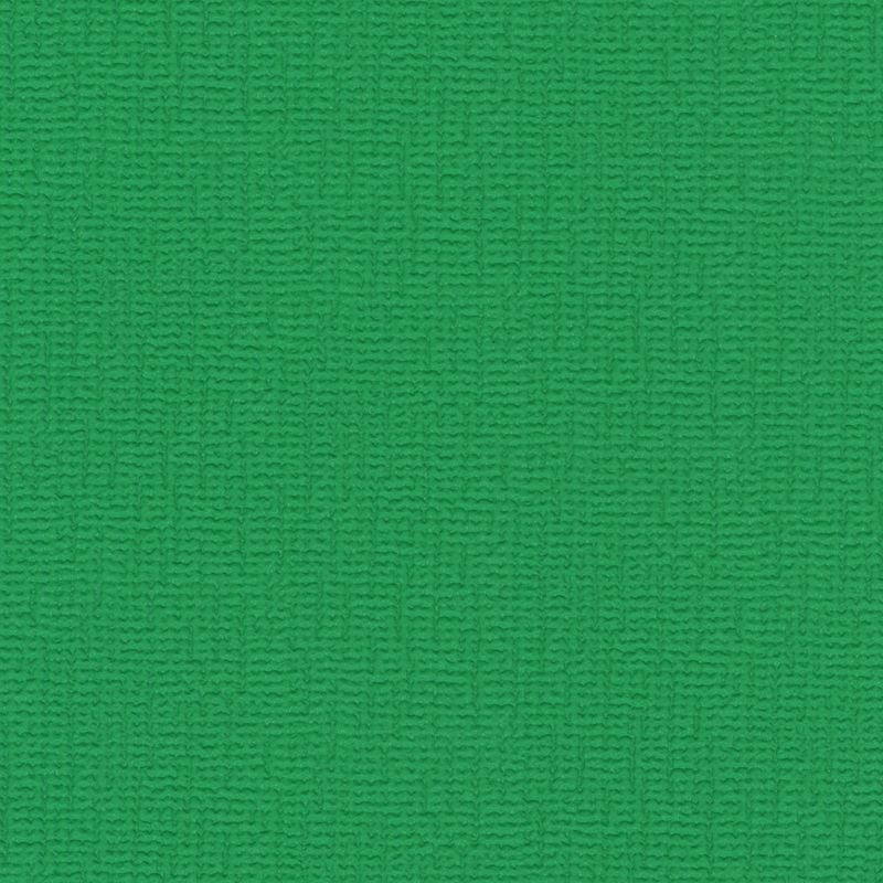 スポンジエース - 広巾