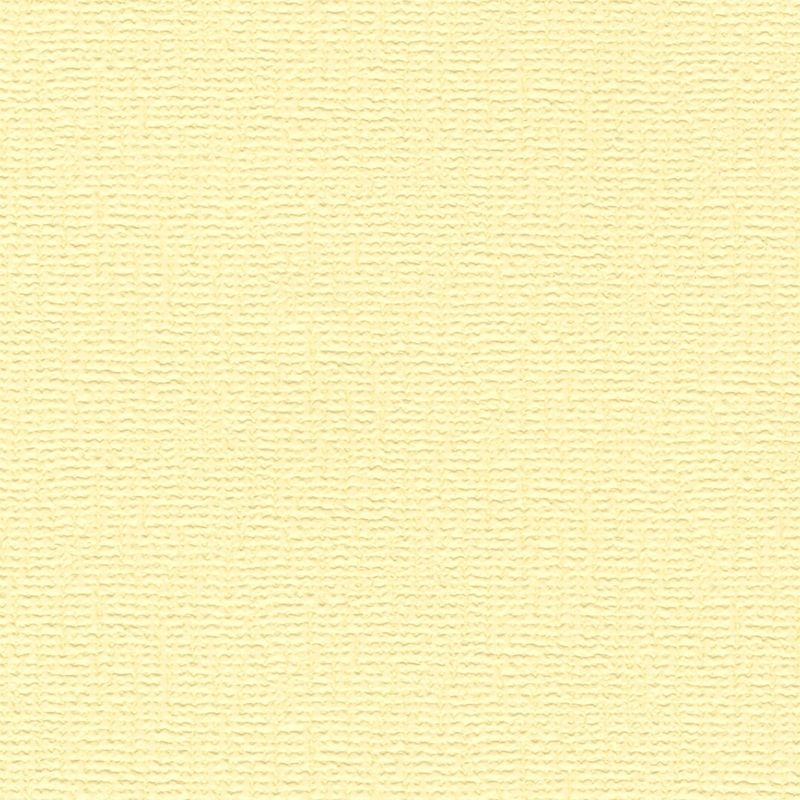 スポンジエース - 広巾