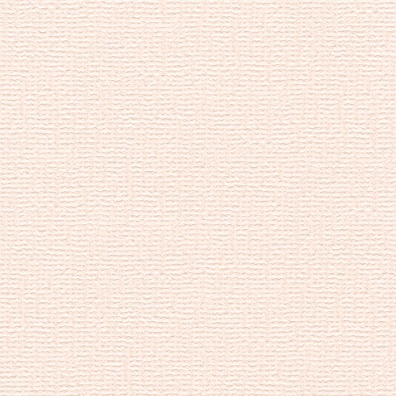 スポンジエース - 広巾