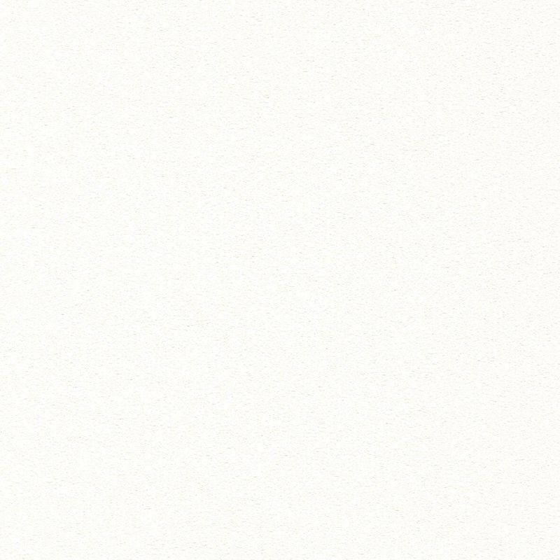 不燃 スーパー強化＋汚れ防止/（ペット対応）