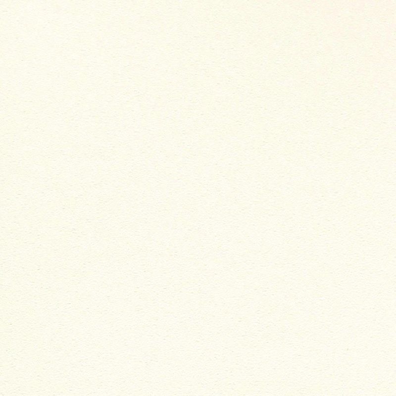 不燃 スーパー強化＋汚れ防止/（ペット対応）