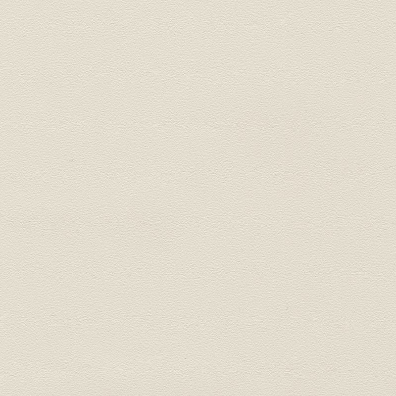 不燃 スーパー強化＋汚れ防止/（ペット対応）