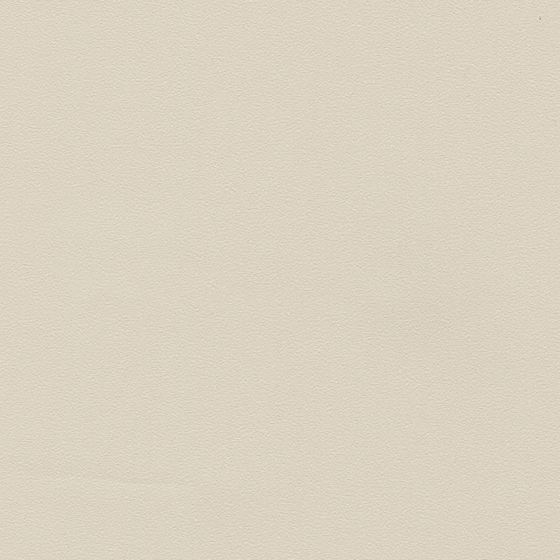 不燃 スーパー強化＋汚れ防止/（ペット対応）