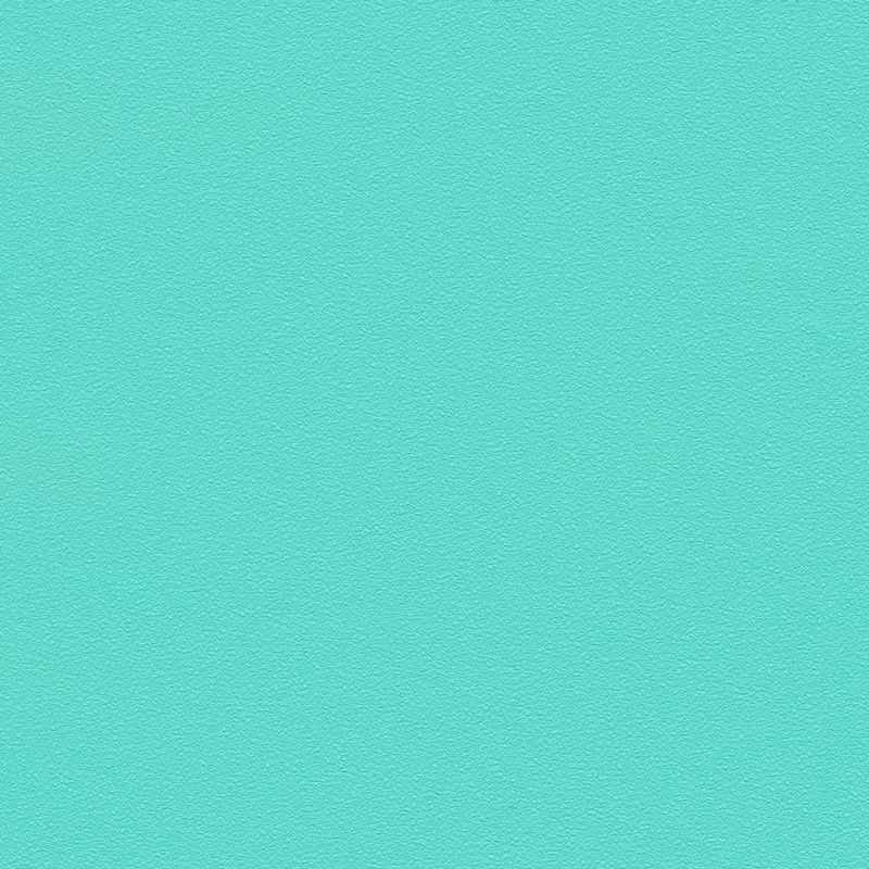 不燃 スーパー強化＋汚れ防止/（ペット対応）