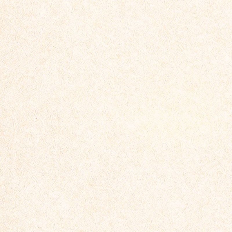 不燃 スーパー強化＋汚れ防止/（ペット対応）