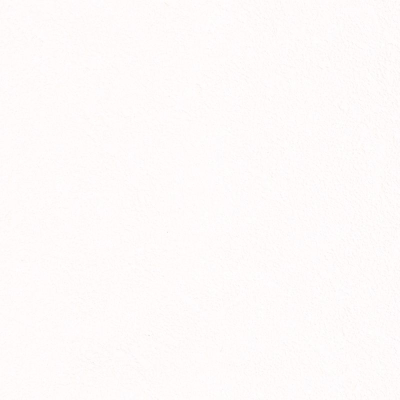 抗ウイルス壁紙/ウイルスアーマー