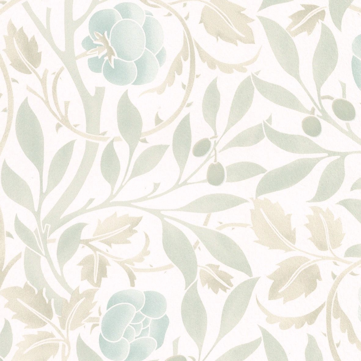 Olive & Rose