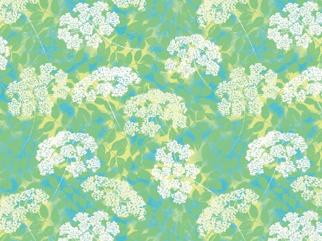 商品画像 1