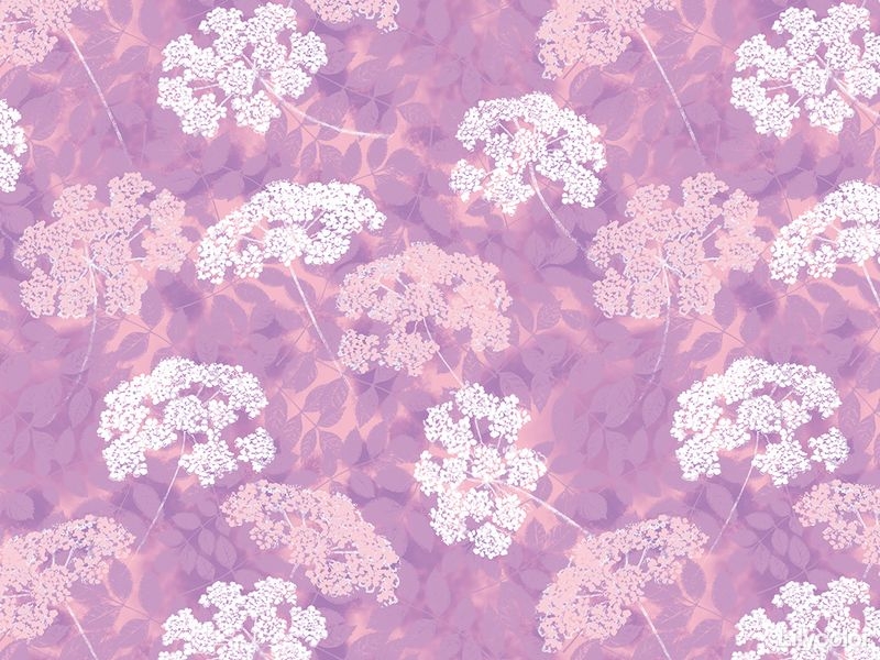 Nature World/Viburnum