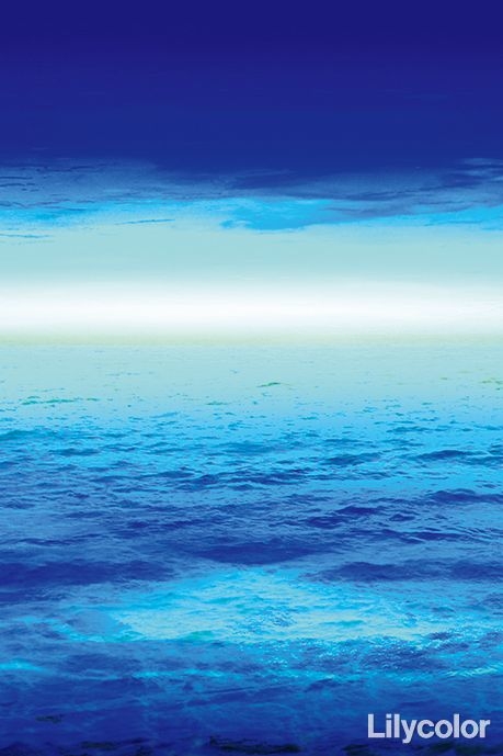 Nature World/Ocean Lights