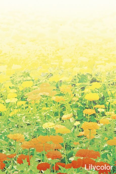 Nature World/Flower Garden
