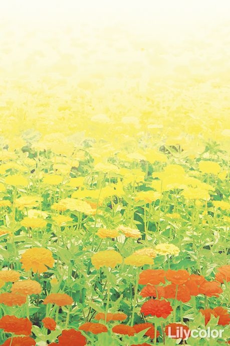 Nature World/Flower Garden