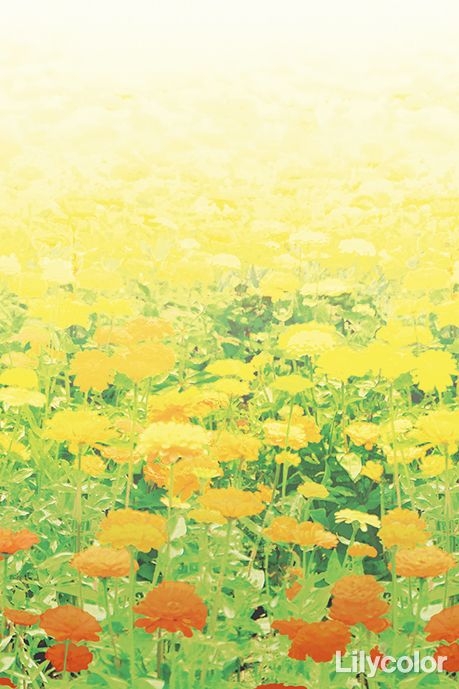 Nature World/Flower Garden