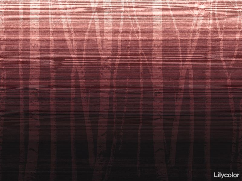 Nature World/Forest Colors