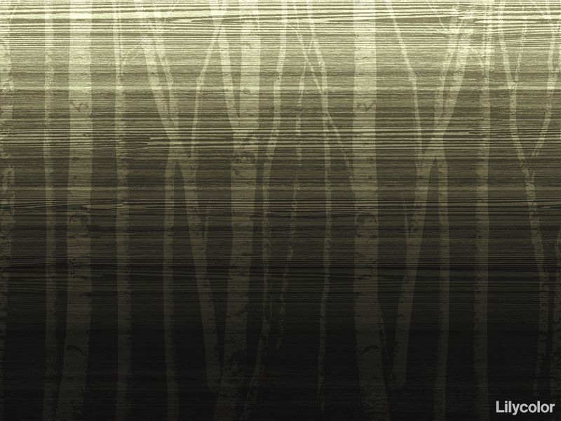Nature World/Forest Colors