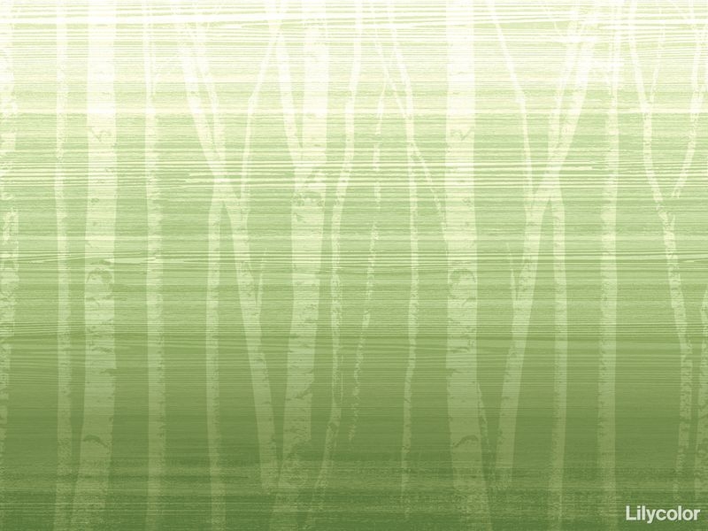 Nature World/Forest Colors