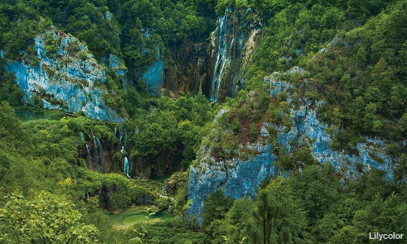 森 PEACE OF FOREST/プリトヴィッツェ湖群国立公園