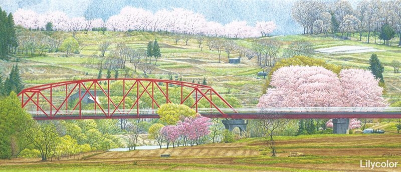 心の情景 パノラマイラストレーション/かすみ桜