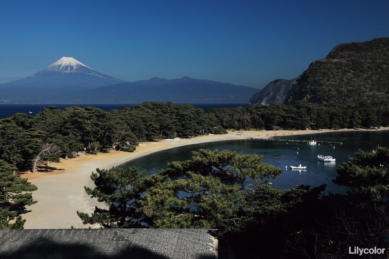 富士眺望/真白き秀峰富士