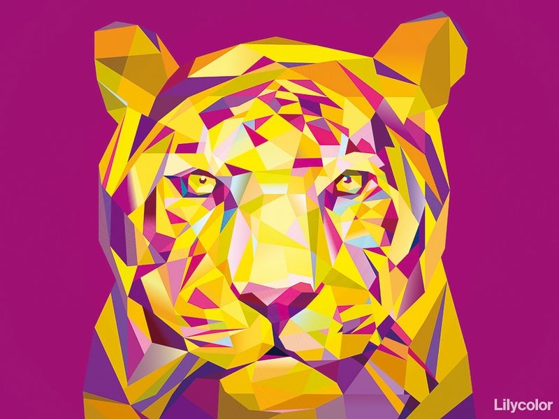 lamina animals/tiger