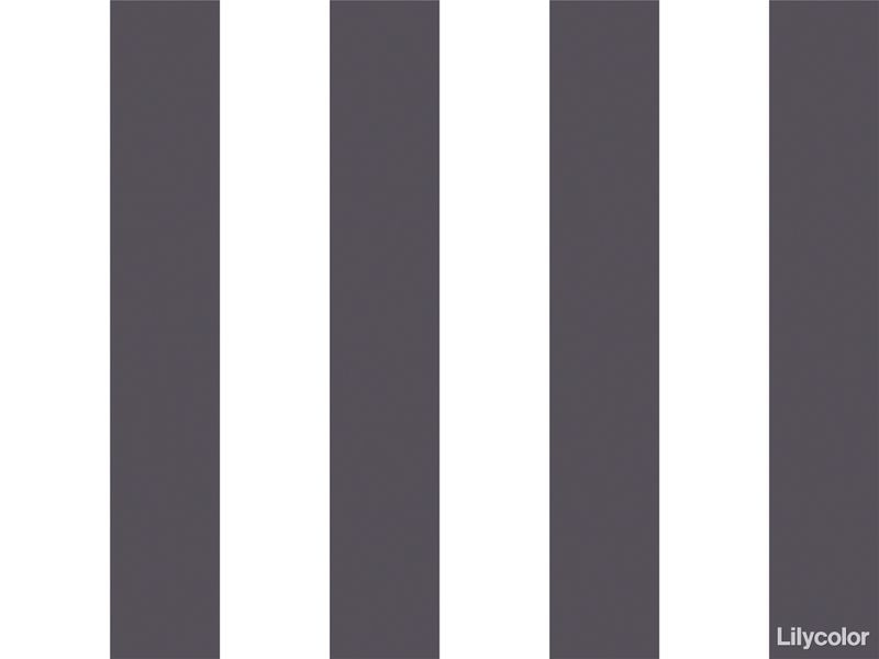 Dot & Stripe/ストライプ - wide