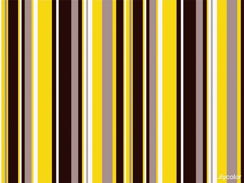 Dot & Stripe/ランダムストライプ