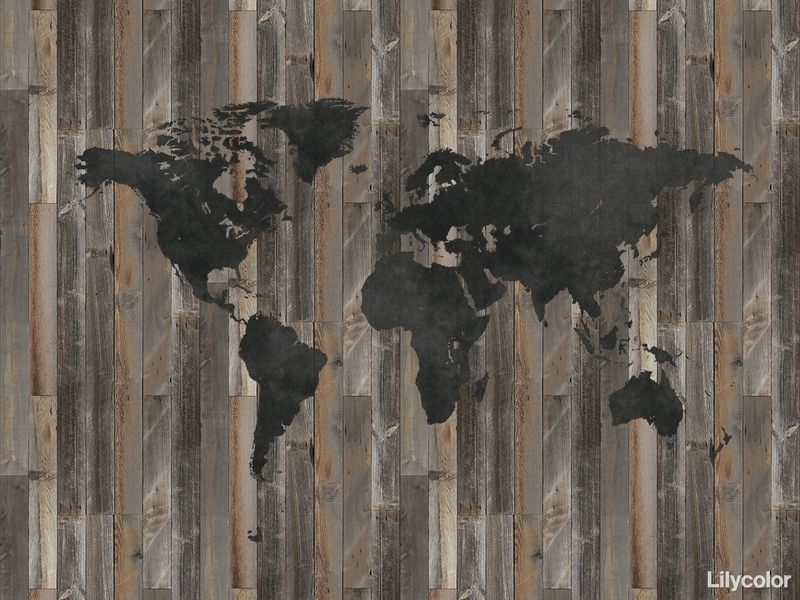 Vintage/World map