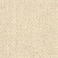 紙/紙布