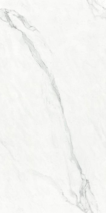 マーブルG 600×1200/Marble G 600×1200 - マーブルＧ　スタトゥリオ　カラカタ（磨き）