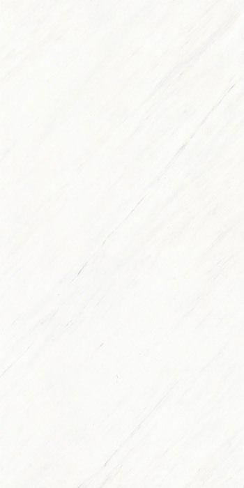 マーブルG 600×1200/Marble G 600×1200 - マーブルＧ　ニューアリストン（磨き）