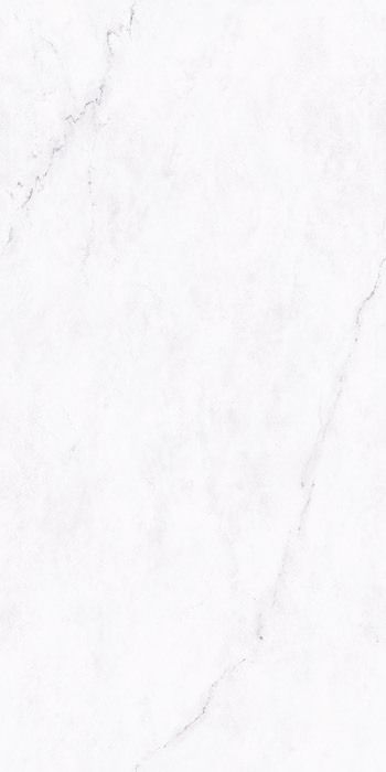 マーブルG 600×1200/Marble G 600×1200 - マーブルＧ　ビアンコリンカーン（磨き）