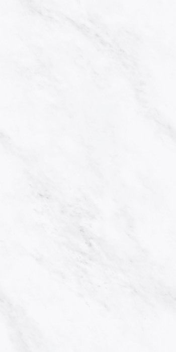 マーブルG 600×1200/Marble G 600×1200 - マーブルＧ　ビアンコオリエンターレ（磨き）
