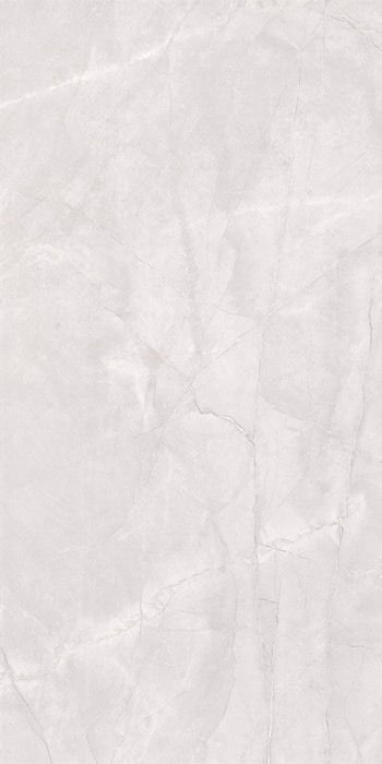 マーブルG 600×1200/Marble G 600×1200 - マーブルＧ　アマニグレー（磨き）