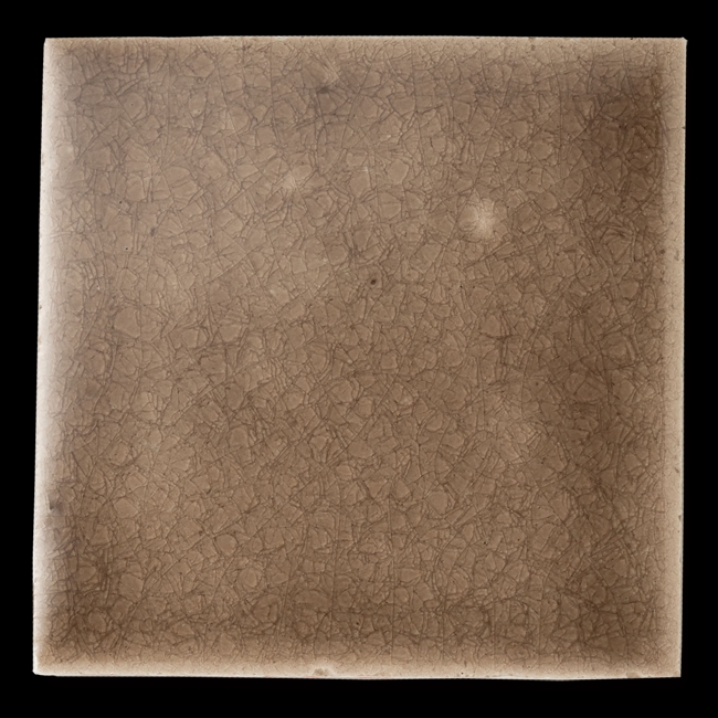 Cottovietri/コットヴィエトッリ - RIOLITE 100x100