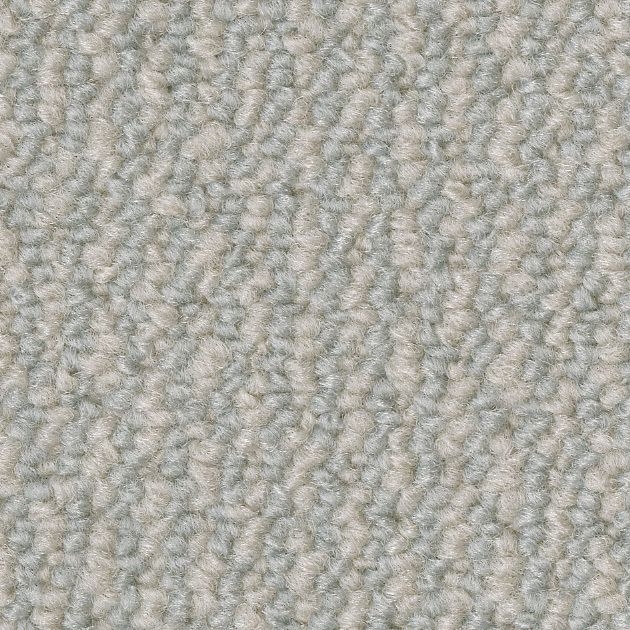 ロールカーペット_Dランク/サンセサミ