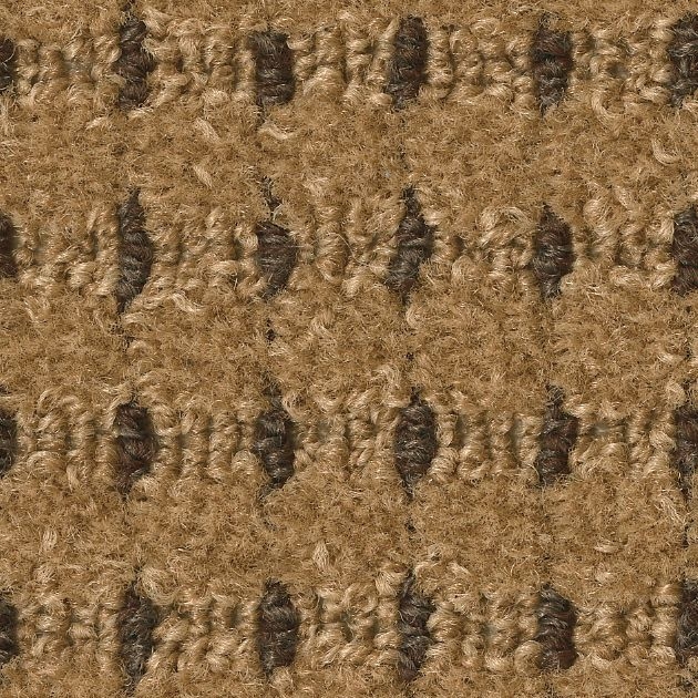 ロールカーペット_Fランク