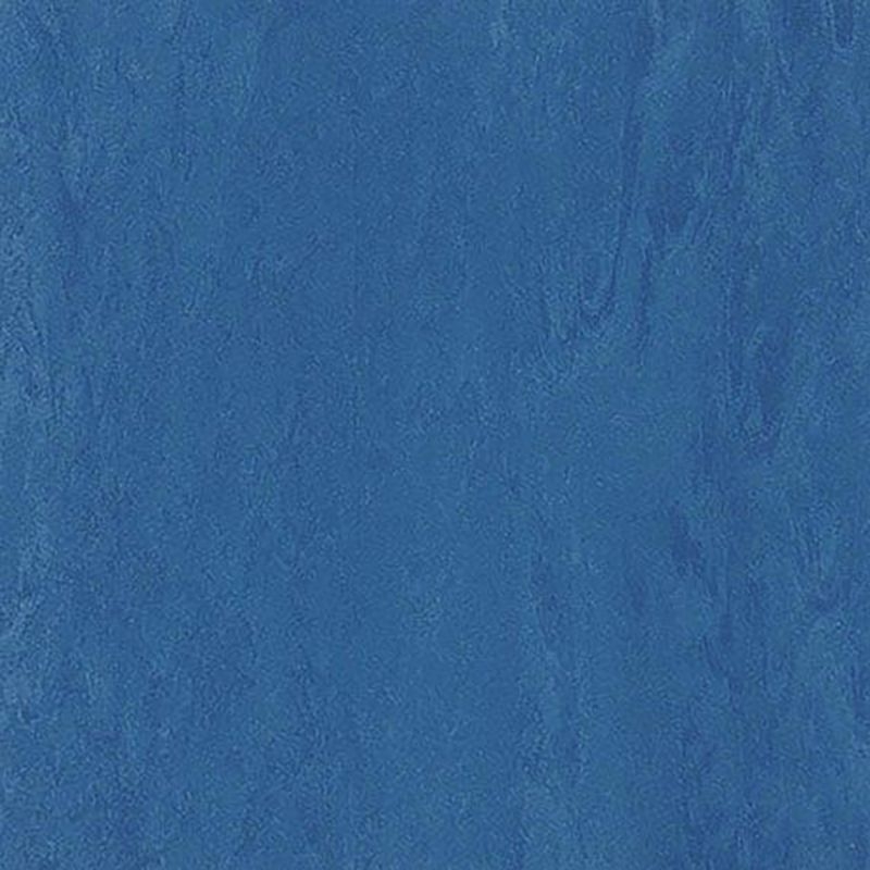 ニューソフトン - 613-356
