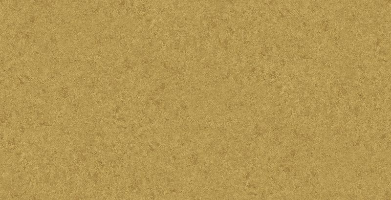 サムネイル 1